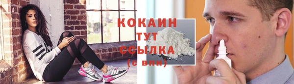 молекула духа Алексеевка