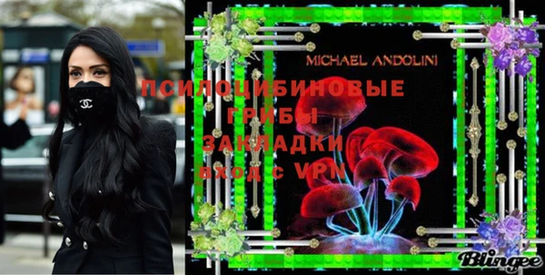 молекула духа Алексеевка